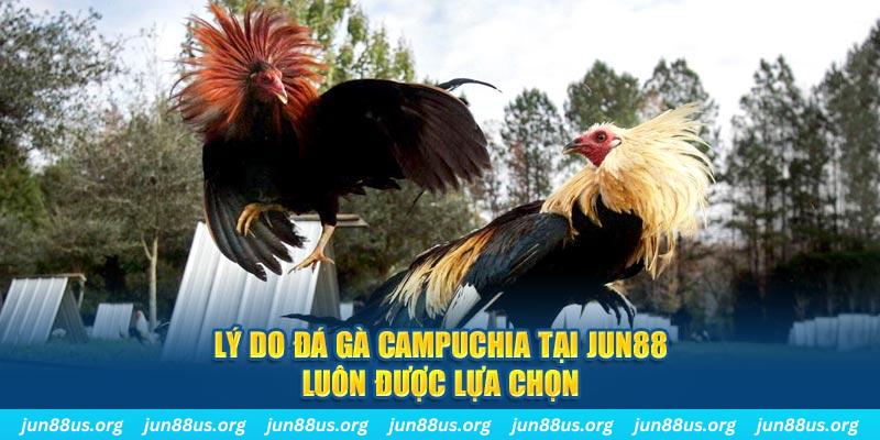 f8bet nổ hủ máy bay