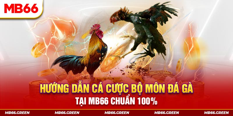 f8bet xổ số bình định