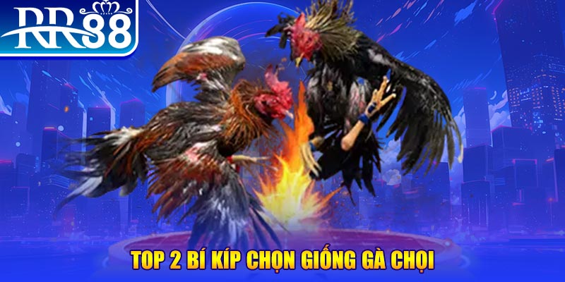 f8bet đăng nhập roulette dễ thắng