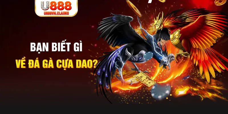 f8bet xổ số kiến thiết