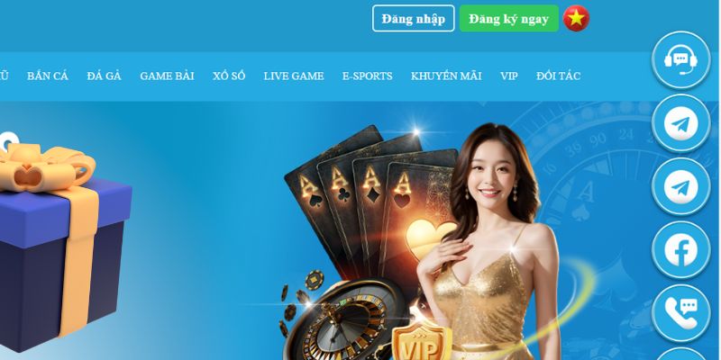 f8bet slot là gì dịch