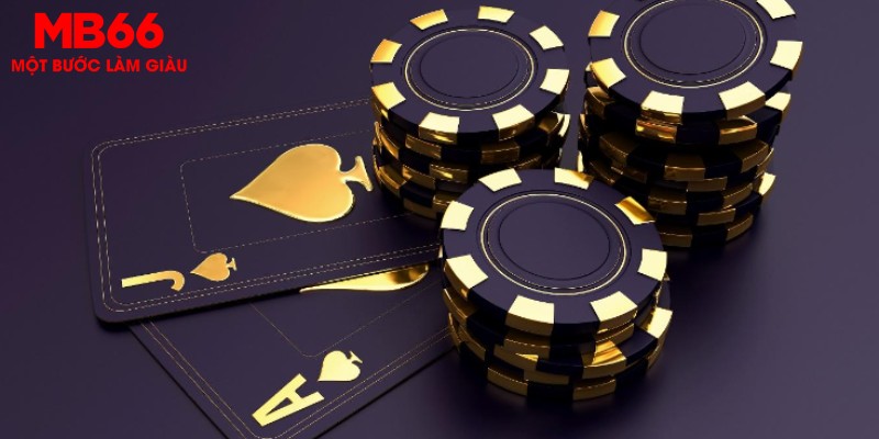 f8bet đá gà thomo hôm nay