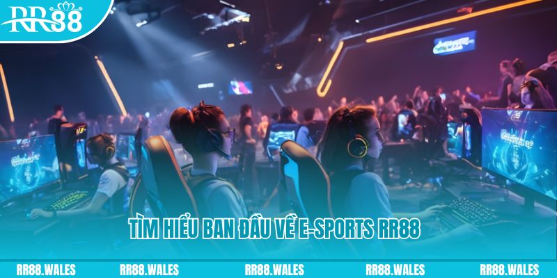 f8bet Đĩa màu ace