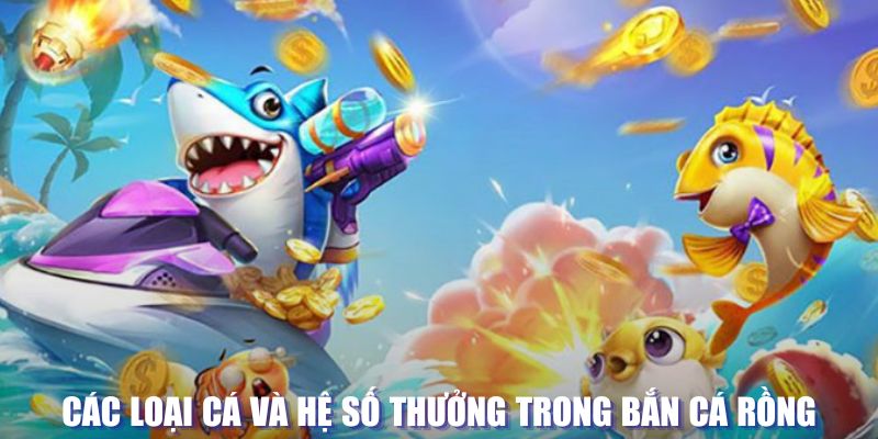 f8bet loi game dot kich ket noi may chu that bai
