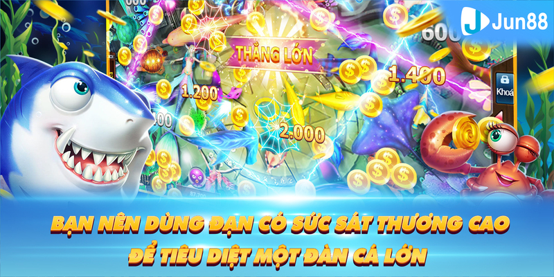 f8bet Tung Đồng Xu