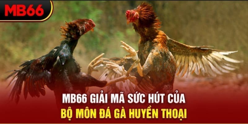 f8bet Phi Đội Ưu Tú