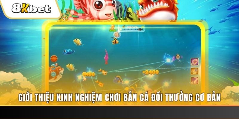 f8bet xổ số miền bắc thứ năm hàng tuần
