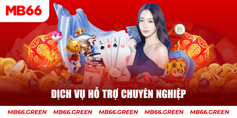 f8bet AOG Đá Gà