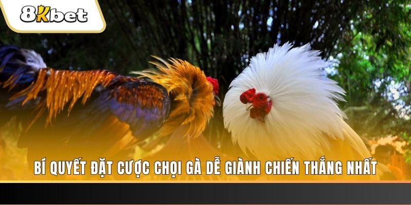f8bet Tài Xỉu 2