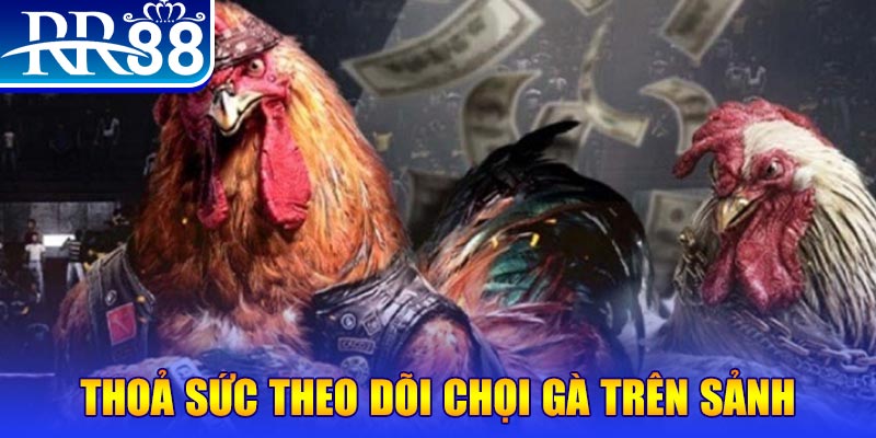 f8bet đá gà 88.com