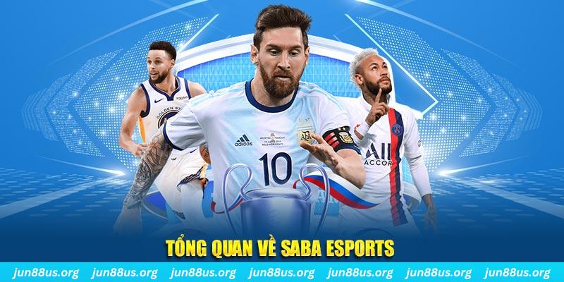f8bet gà chọi c1 tv trực tiếp hôm nay