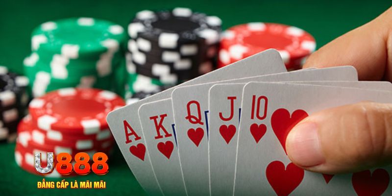 f8bet trực tiếp đá gà